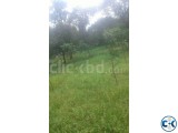 Land for sale Bhaluka Mymensingh