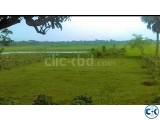 5.9 katha land for sale at Lalbagh Munda Uttarkhan