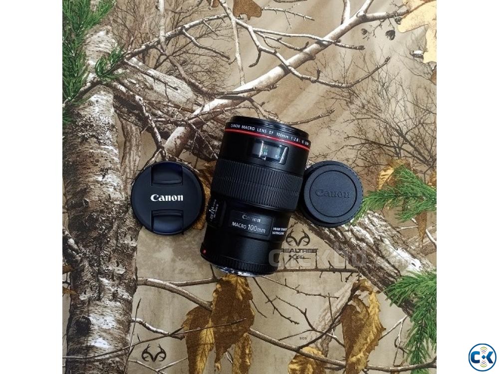 Canon EF 100mm f 2.8L Macro IS USM Professional Prime Lens large image 0