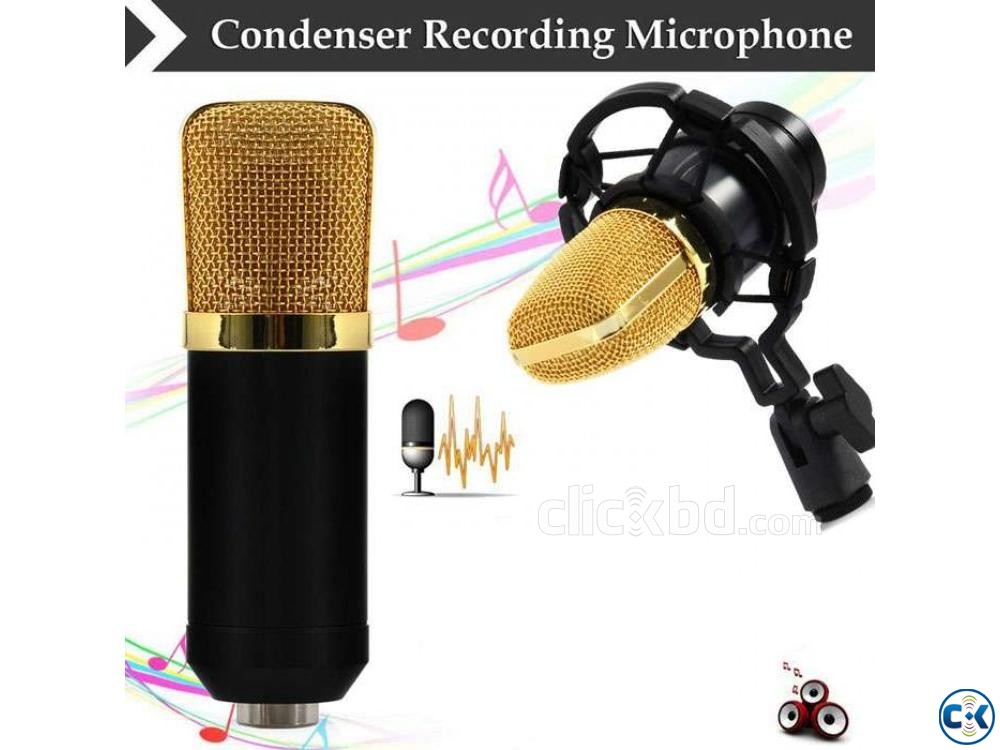BM-700 Condenser Sound Recording Microphone and Plastic Shoc large image 0