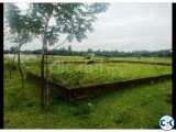 5 katha ready land in hemayadpur Dhaka