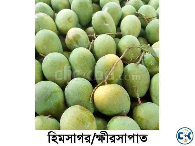 original Himsagar mango directly from Naogaon 10Kg mango large image 0