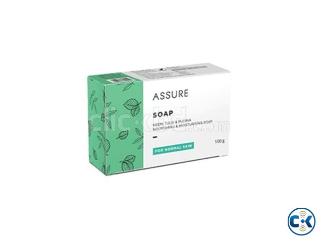 Assure Soap with Neem Tulsi and Pudina - Indian large image 0