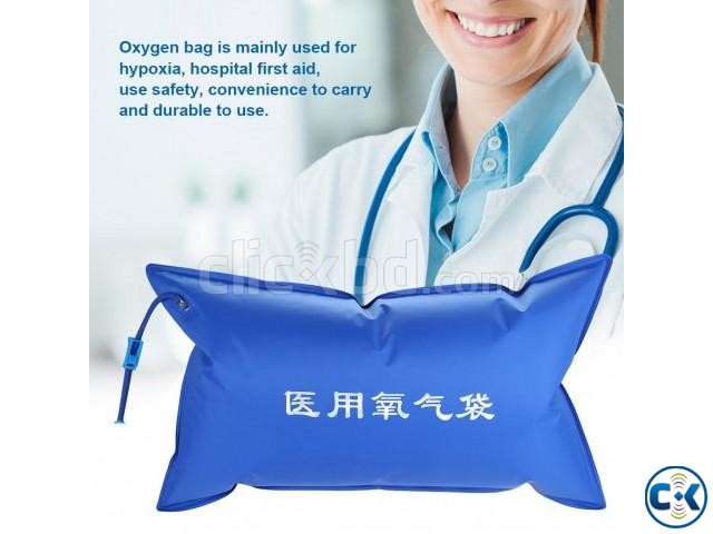 42L Portable Oxygen Bag large image 0