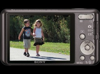 Sony Cyber-shot DSC-W570 16.1 MP Digital Camera