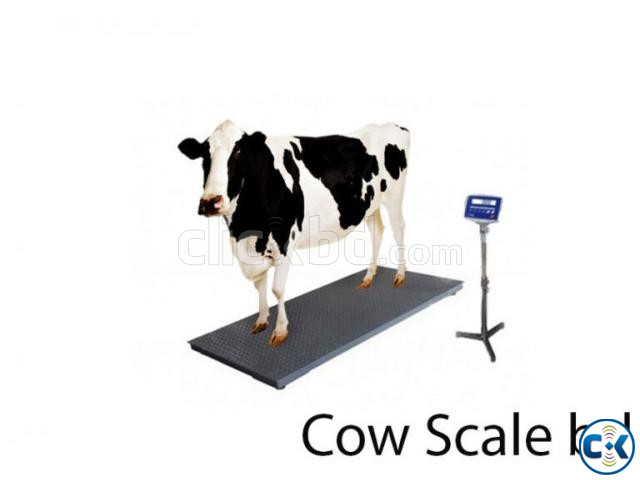 Animal Weight Scale Cow Weight Scale 2000KG large image 0