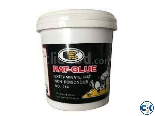 Bosny Rat Glue Tiger Pest Control large image 4