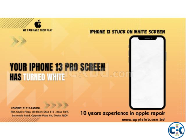 I Phone 13 Pro White Screen Issue large image 0