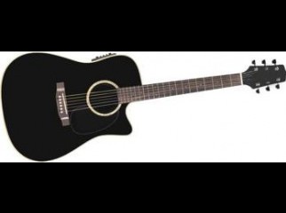  Custom Acoustic Guitar With Equalizer