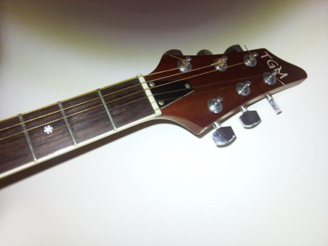 TGM semi-acoustic guitar Urgent Sell  large image 0