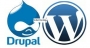 Professional Training on Drupal and WordPress-TT large image 0