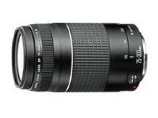 Canon EF 75-300mm f 4-5.6 USM Telephoto Zoom Lens