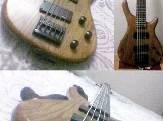 TGM Bass 2009 Pure Wooden