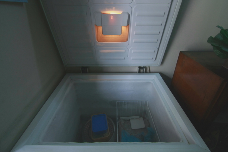 Frigor chest freezer full deep freeze compartment  large image 0