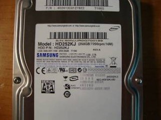 New Samsung 250GB SATA Hard Disk- 1yrs Warranty