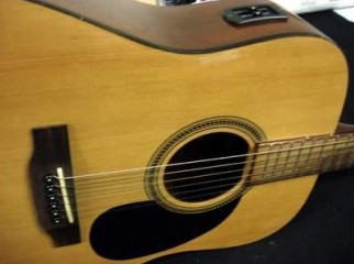 ENCORE Acoustic Guitar