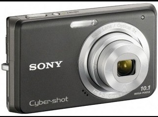 Sony Cybershot DSC-W180 10.1MP Digital Camera with 3x Steady