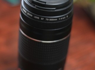 Canon EF 75-300 f 4-5.6 Zoom Lens