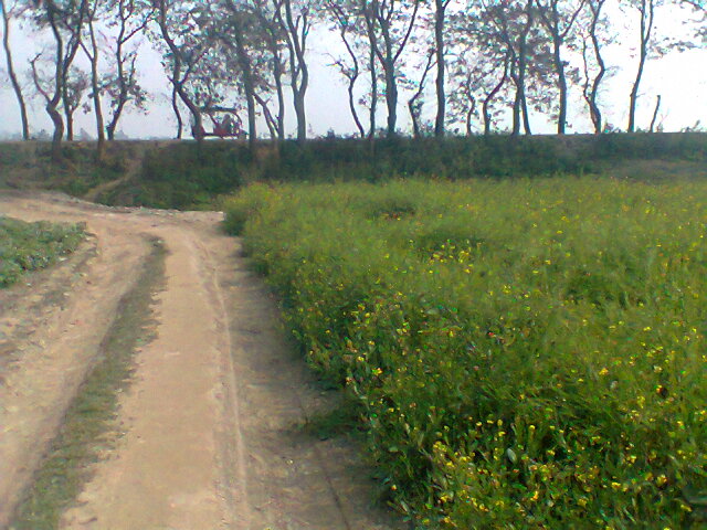 Big size plot available for housing project. large image 0