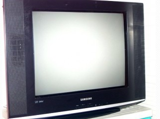 Samsung DNIE Jr. 21' Inch TV