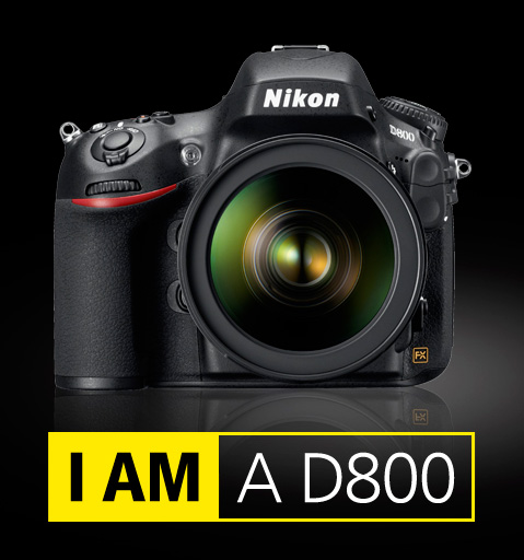 Brand New Nikon D800 large image 0