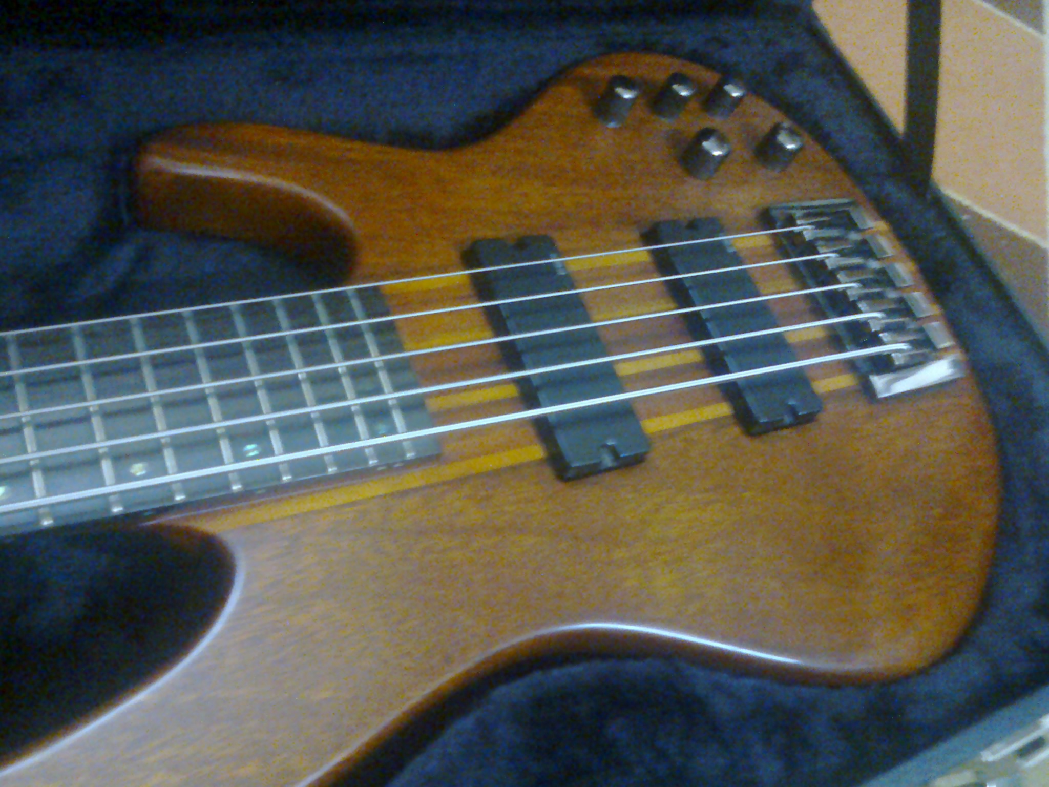 ESP LTD D5 ESP LTD B Universal Bass Case 3 months used  large image 0