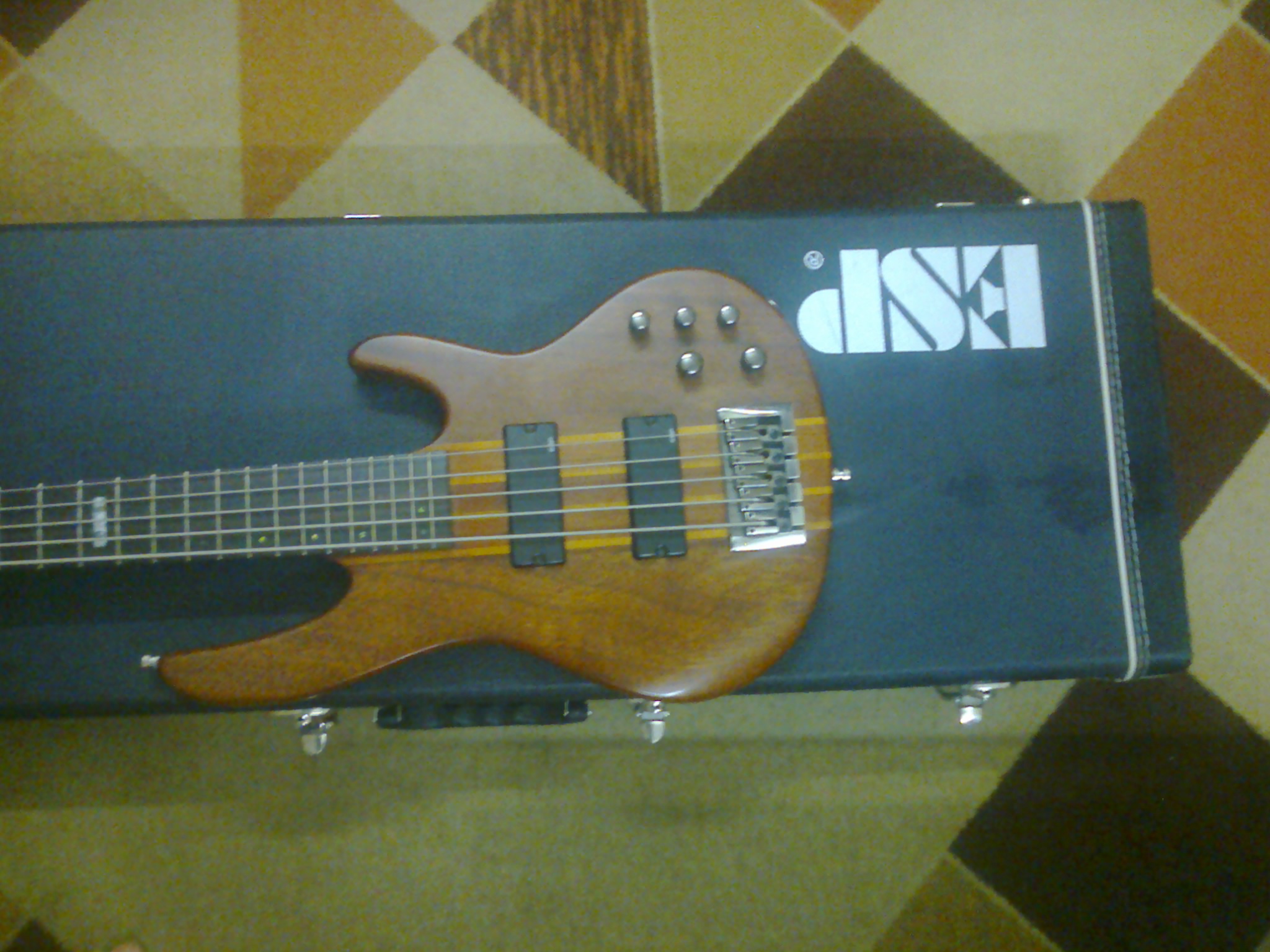 ESP LTD D5 ESP LTD B Universal Bass Case 3 months used  large image 1