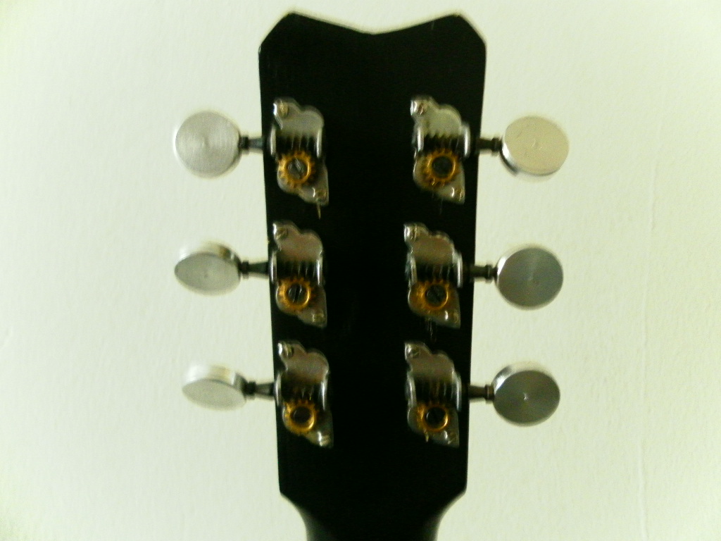 Deshi signature style body acoustic guitar. large image 1