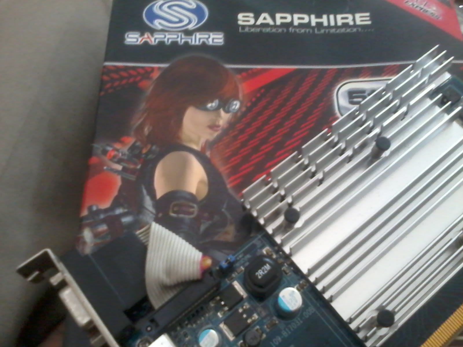 Sapphire Radeon HD 3450 512MB DDR2 PCI Express large image 0