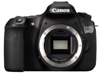 Canon 60d battery grip 1 extra battery