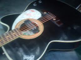 hubnar guitar for sell large image 0