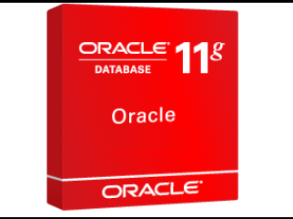 Oracle 11g R-2 Software with video tutorial 10-DVDs 