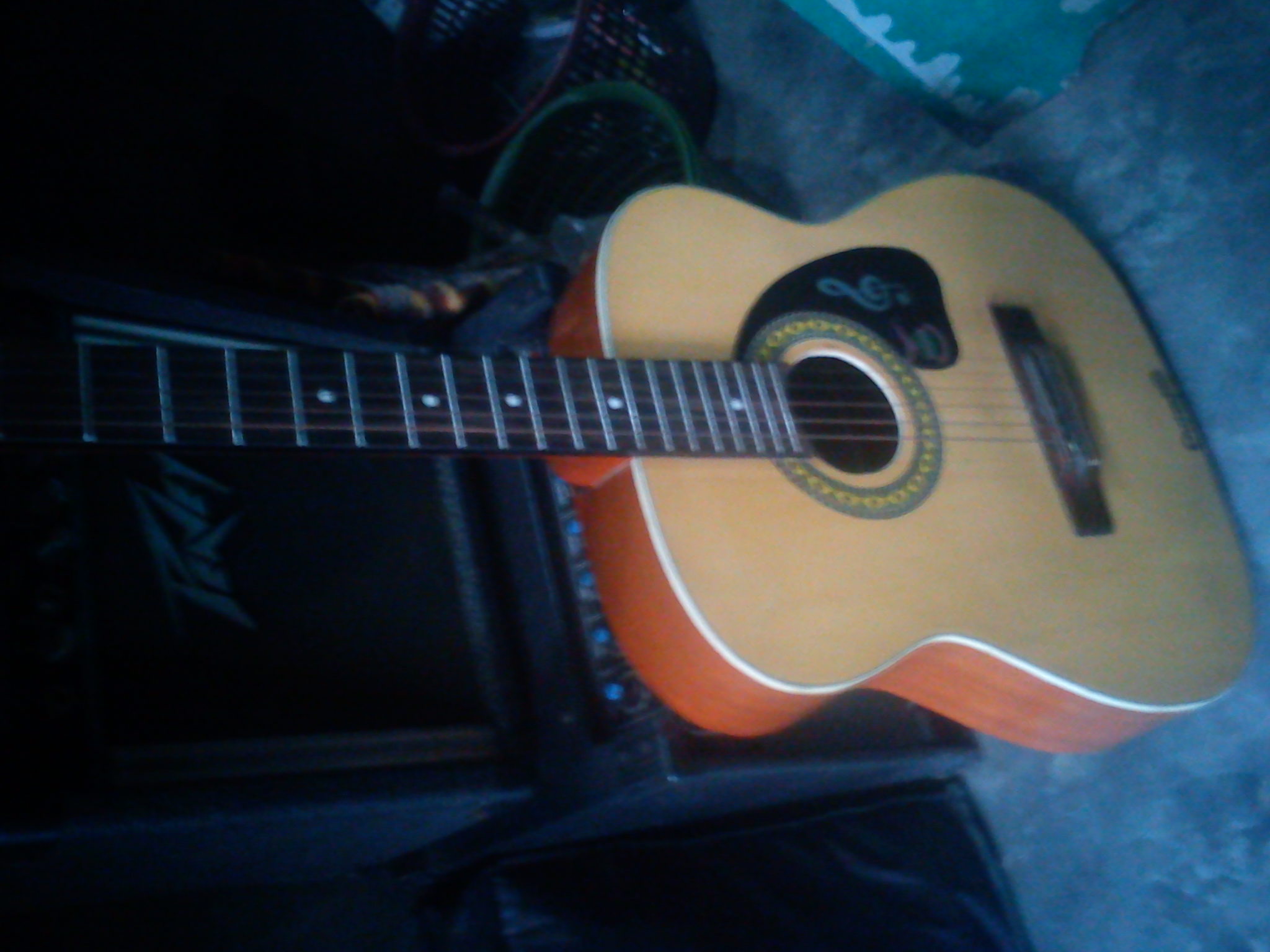 Givson Hawaiyan Acoustic guitar. large image 0