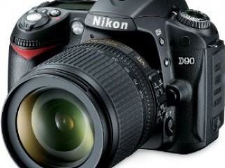 Nikon D90 100 fresh