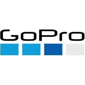 GoPro category