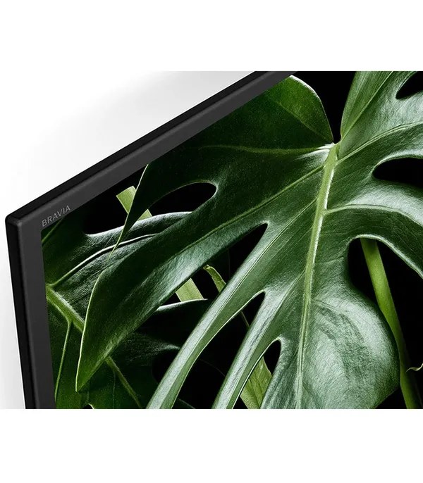 Sony Bravia 50W660G (50 Inch) Full HD Smart HDR LED TV- image #4