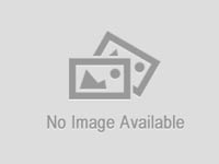 Greatnice GTS-1386 Portable Wireless Speaker