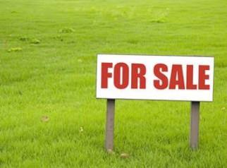 Land in Dhaka-Mymensingh Road Boiragir Chala - Gazipur