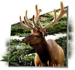 SAMSUNG World No 1 3D LED TV UA40 ES 6220 R WITH 3D GLASS F