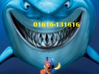 Original 3D SBS BluRay Movies Biggest 3D Collection
