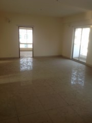A brand new flat for rent A brand new flat for rent