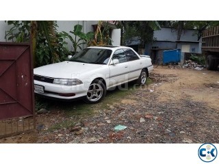 Carina ED GT-01713256948 Carina ED GT-01713256948