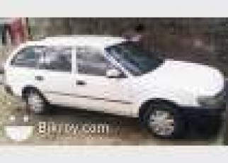 100 wagoan.model 2001 100 wagoan.model 2001