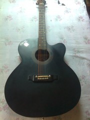 signature Acoustic guitar Topaz