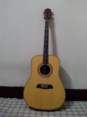 Oscar Schmidt by washburn Acoustic Guitar Studio class