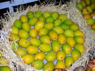 চাঁপাইনবাবগঞ্জ এর সেরা আম।