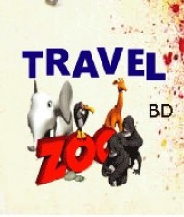 International domestic air ticket By Travelzoo Holiday