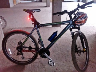Raleigh Talus 3.0