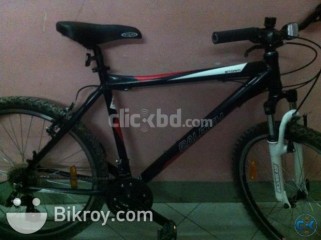 Raleigh Storm Fresh Condition Urgent Sell