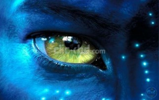 3D Side by Side 1080p Movies Up to 80 discount on Bulk